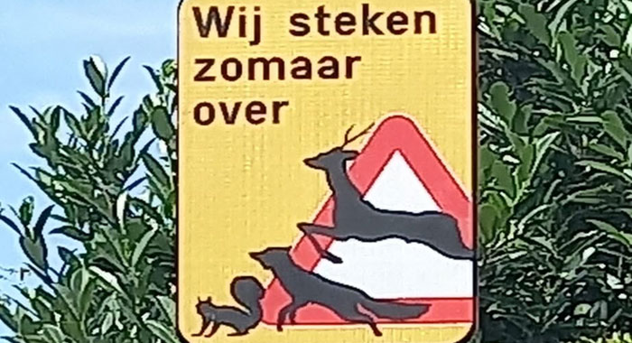 foto: © Gemeente Temse